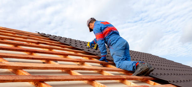 Best Roof Maintenance and Cleaning  in Riverdale, IL